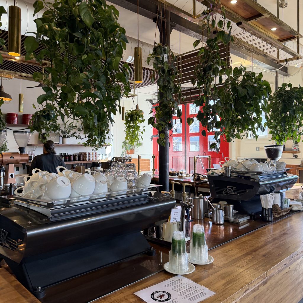 steam espresso bar, coffee shop, denver colorado