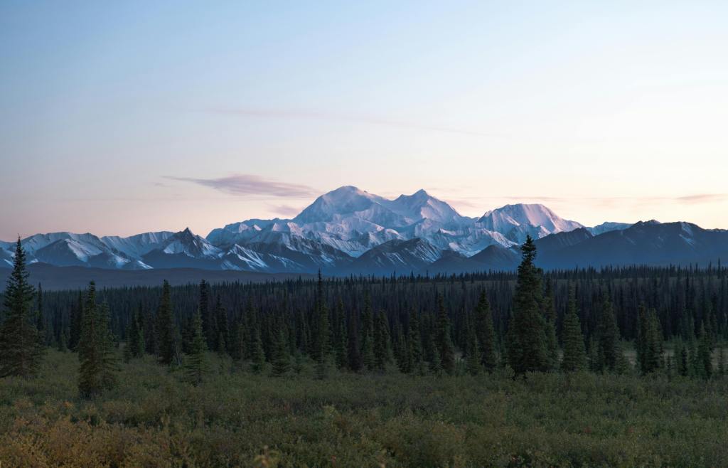 denali national park mountain range in the distance